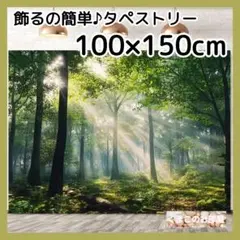 タペストリー 背景布 緑 森林 新緑 神秘的 インテリア 131f