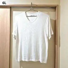 Daniel Dodd リブVネックTシャツ 6L 大きいサイズ 美品