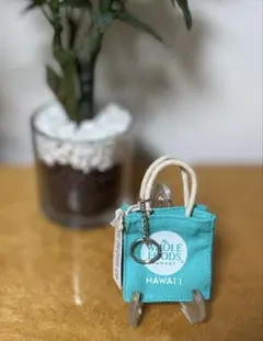 【新品・未使用】ホールフーズ　WHOLE　FOODS　ハワイ　キーホルダー　水色
