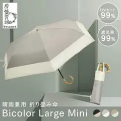Item thumbnail for item 7b436c09-fd42-4ce4-acc8-58897746302c