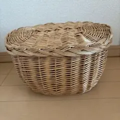 カゴ　入れ物