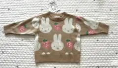 Item thumbnail for item 0dc04b19-2800-4c94-ad10-6165397b50f8