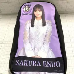 乃木坂46 遠藤さくら　ペンライトケース