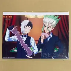 Dr.STONE 石神千空 あさぎりゲン DVD 早期予約特典 大判ブロマイド