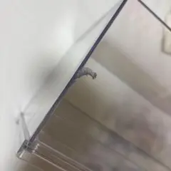 ケース