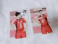 ハイキュー アニメイト ポストカード 黒尾鉄朗 海信行