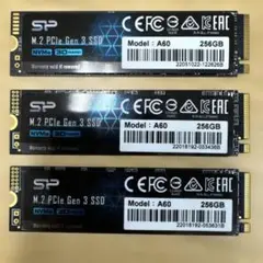 SP M.2 PCIe Gen 3 SSD A60 256GB
