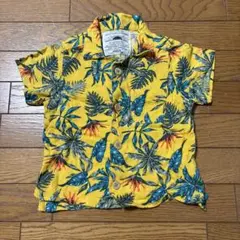 Item thumbnail for item aaf382b0-396f-4e67-891f-14d79f7991b3