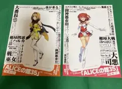 アリスソフト 35周年記念 アリスの館35カード A4両面メガサイズ