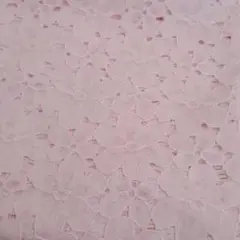 Item thumbnail for item a010c95a-8a72-4bd7-8307-a158845e6e9b