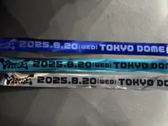 CRフェス 2025 銀テープ CRFES