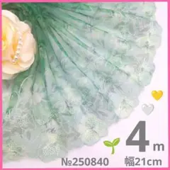 №250840 チュールレース