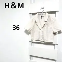 Item thumbnail for item 650493d7-31a8-4374-bd6d-390039c7dad3