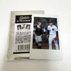 千葉ロッテマリーンズ 寺地隆成 中森俊介 シークレットチェキ