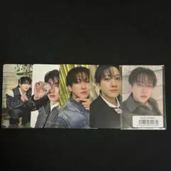 straykids Hollow チャンビン トレカ セット
