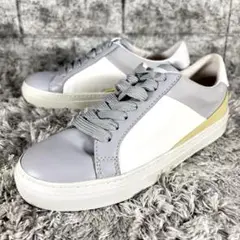 新品✨TOD'S トッズ レディース レザー スニーカー 箱 収納袋付属