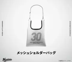 千葉ロッテマリーンズ　メッシュショルダーバッグ