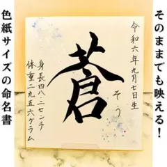 【書家代筆】色紙サイズ命名書／オーダー ✧ 出産祝い／記念品／シンプル／ラメ入
