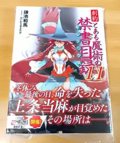 創約とある魔術の禁書目録　１１　新品未開封