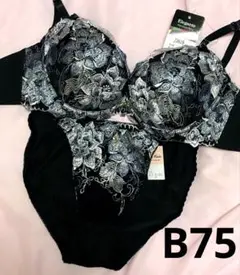 B75 グラマラスベルエンブロイダリーブラジャー&フルバックショーツ