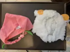 Item thumbnail for item 7d417f92-38d4-4321-ae76-130478e1e9b3