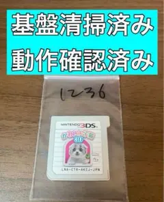 ニンテンドー3ds かわいい子猫