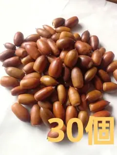 Item thumbnail for item d707b241-3620-4c33-82ba-7ef9c426d792