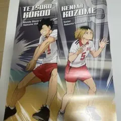 ハイキュー 孤爪研磨 黒尾鉄朗 月島蛍 影山飛雄ポスターキャラポスコレクション2