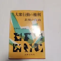 大衆行動の権利・表現の自由　✿7