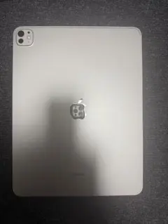 iPadproM4(13インチ256gb)
