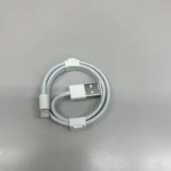 Lightningケーブル