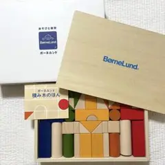 新品未使用 ボーネルンド 積み木 カラー