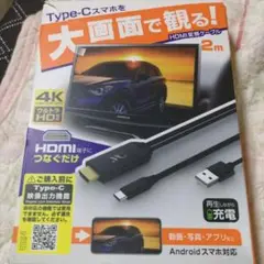 Type-C HDMI変換ケーブル 2m 4K対応