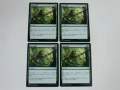 MTG 自然の知識 久遠の終端 日 4枚セット
