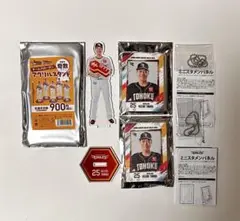 Item thumbnail for item f72b1373-850c-4594-86d9-f9c7310beaa1