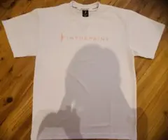 IN THE PAINT Tシャツ (ホワイト)XL寸