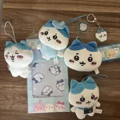 ハチワレ はちわれ セット