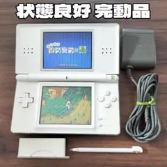 状態良好 完動品 ニンテンドーDS Lite ホワイト 本体 純正付属品