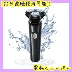 Item thumbnail for item ece72466-c302-4bca-a13e-540a09796f1a