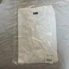 FreshService 2-PACK OVERSIZED TEE 1枚のみ