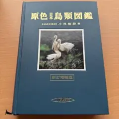 Item thumbnail for item 687faac9-34d4-43f8-aa78-18195b461bdc