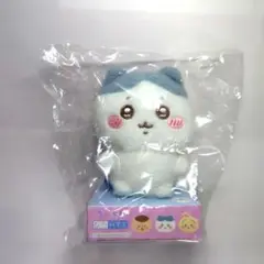 Item thumbnail for item 8915d4c7-1f0b-454a-bcc2-eaa4bf72e3c7