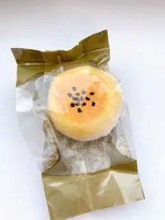 Item thumbnail for item 9b30a4f6-c05f-4ddc-8189-445136d7cd09