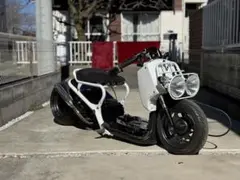 m59991608648_1.jpg?1737432862