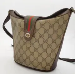 希少品 グッチ ワンショルダーバッグ アクセコ シェリーライン ロゴ金具