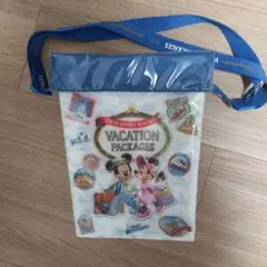 東京ディズニーリゾート バケーションパッケージ　ポップコーンバケット