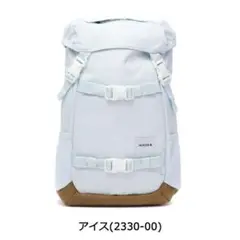 Item thumbnail for item bb397010-91e5-4fdf-86e2-26f32b1860ad