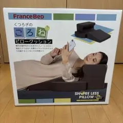 フランスベッド スノーレスピローミニ