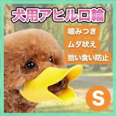 Item thumbnail for item 69b6d4d6-2e46-4368-9e5b-078d2ee19877