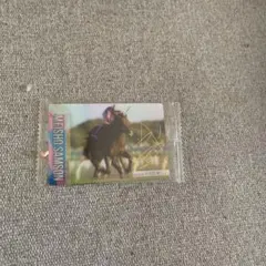 サラブレッドコレクション　メイショウサムソン